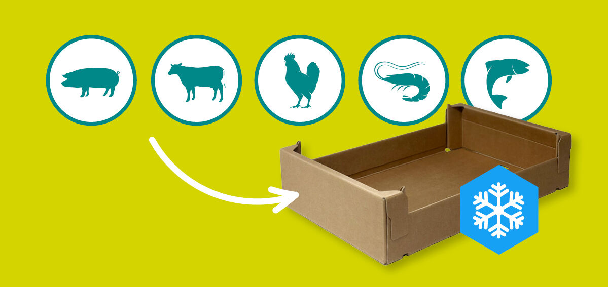 Frozen beeld 1200 px2 Frozen beeld 1200 px2