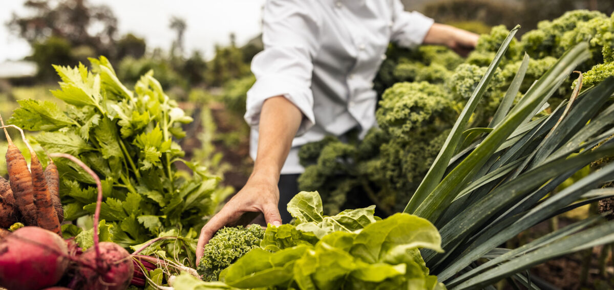 Smart-Packaging-Solutions-Groenten Smart-Packaging-Solutions-Groenten