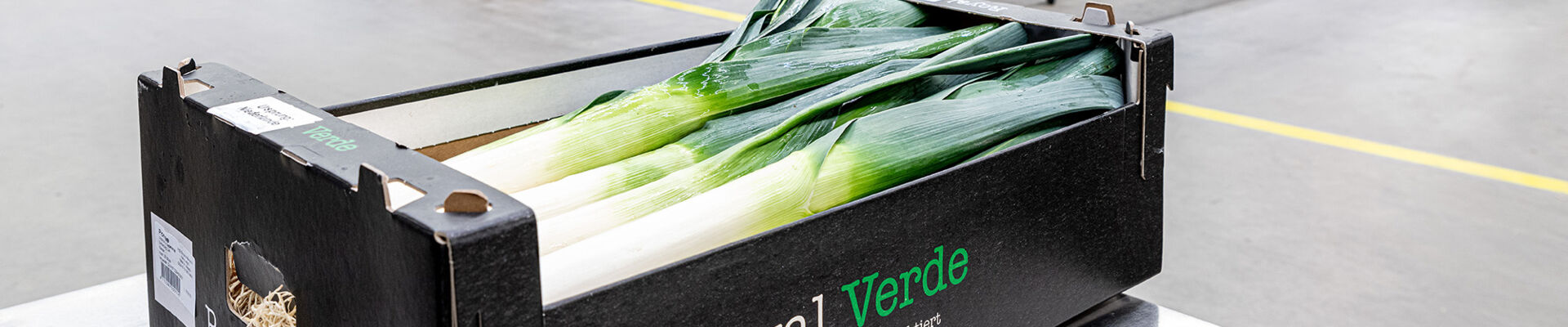 Nachhaltige Lauchverpackung aus Vollpappe: Warum Frankort & Koning sich für Smart Packaging Solutions entschieden hat