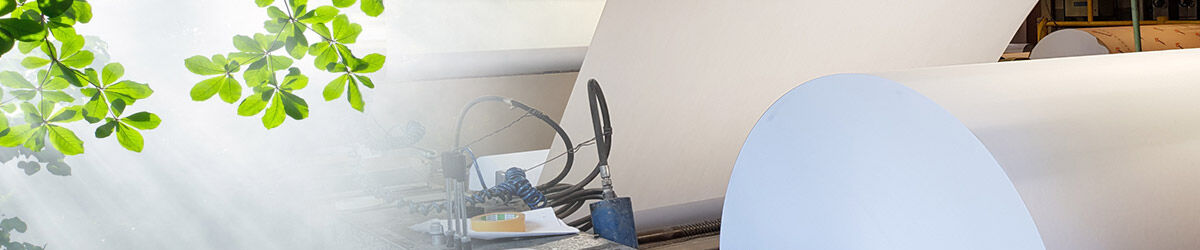 Le groupe VPK obtient la notification EcoVadis de platine