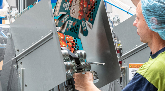 New at Smart Packaging Solutions: top-seal packaging for fruit and vegetables