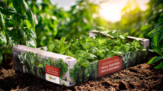 Smart Packaging Solutions at the Fruit Attraction 2025 in Madrid