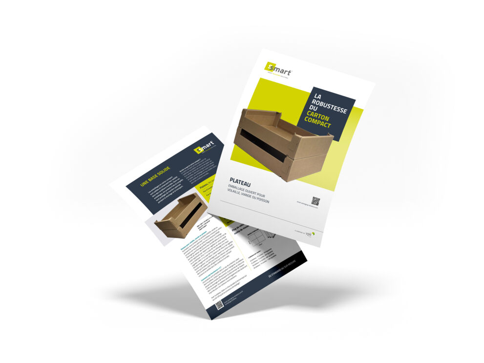 Mockup-opzettray-kip-vlees-vis-FR