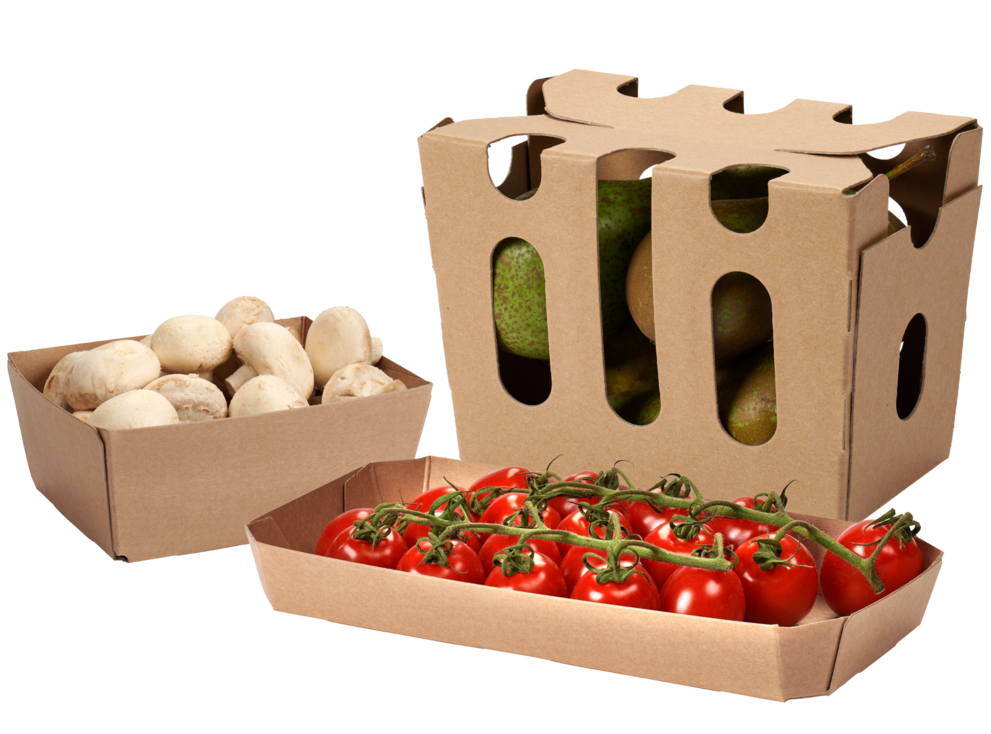 carousel_visual-03_2VdcnwS.original.original