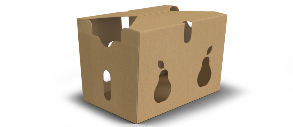 smart-packaging-solutions-punnet-verpakking-hd