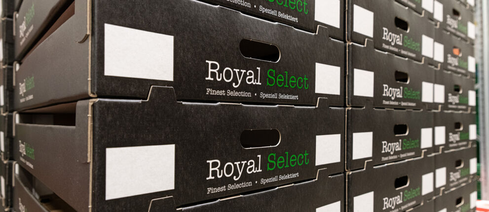 Frankort & Koning Royal Select